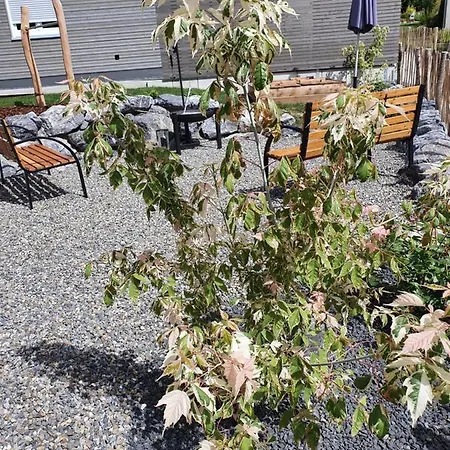 Am Funkenbuehl Σπίτι διακοπών Salem (Baden-Wurttemberg)